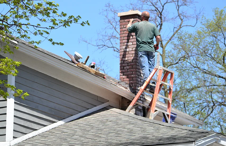 Chimney & Fireplace Inspections Services in Woodstock, GA